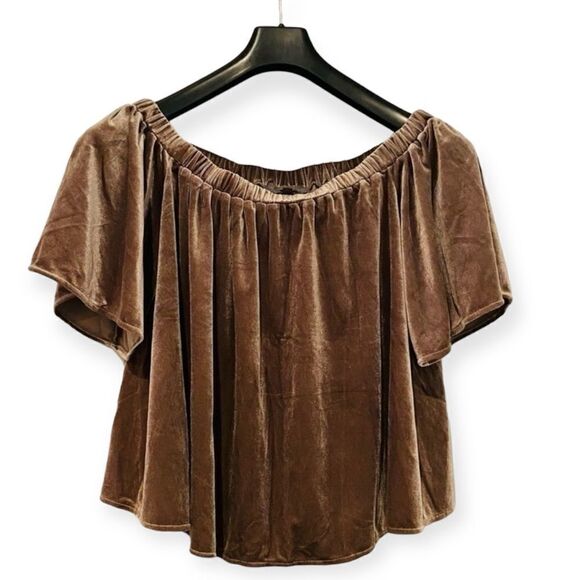Anthropologie Sunday In Brooklyn Velvet Top Size Medium - Picture 1 of 6